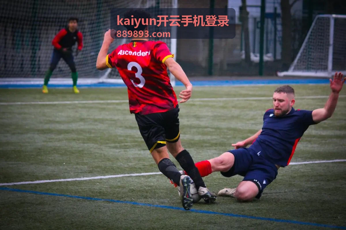 基础等级会员权益栏目范围示意图