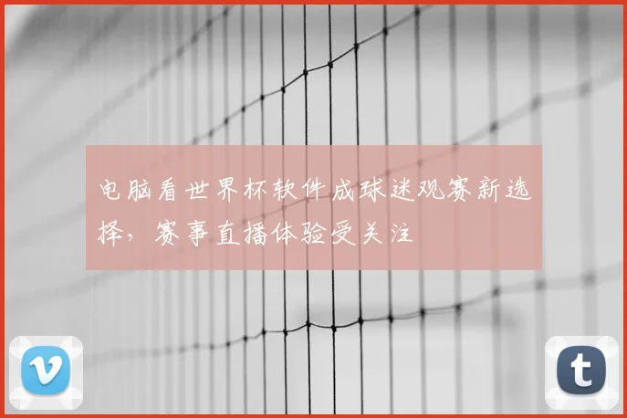 电脑看世界杯软件成球迷观赛新选择,赛事直播体验受关注