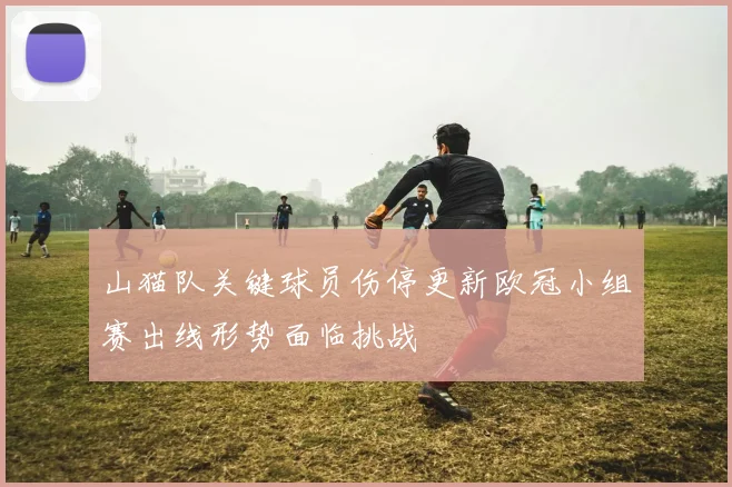 山猫队关键球员伤停更新欧冠小组赛出线形势面临挑战