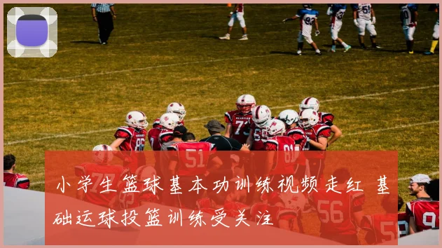 小学生篮球基本功训练视频走红 基础运球投篮训练受关注